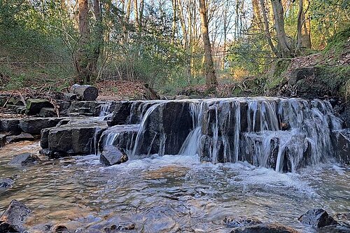 Protect our green spaces