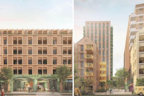 New plans for the Walnuts