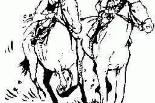Two Horse Race Graphic