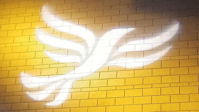Take our survey Lib Dem logo bird projected on blockwork