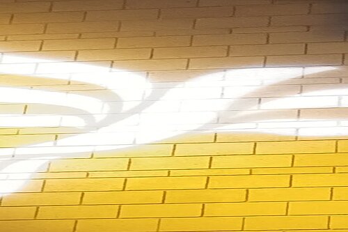 Lib Dem logo bird projected on blockwork