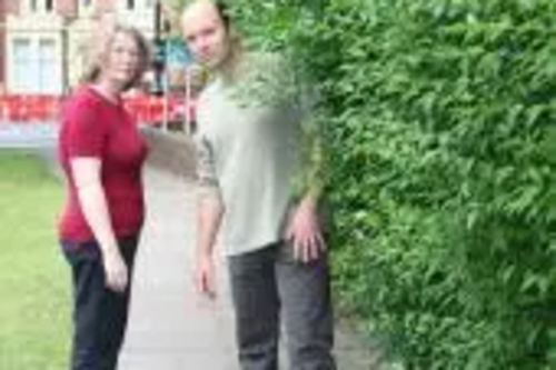 Park Rd hedge before