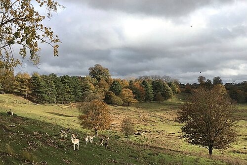 Linton Park on the Greensand Ridge