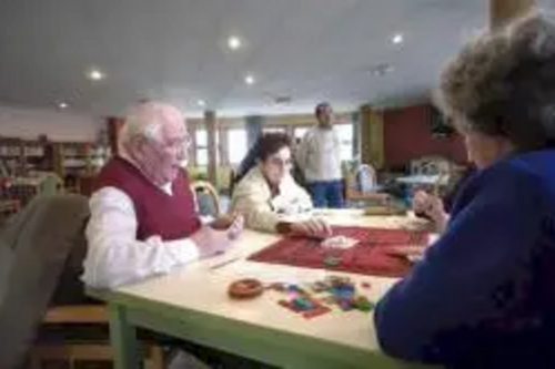 The Liberal Democrats are mounting a last minute challenge to Barnet Council's proposals to scrap the Sheltered Housing Warden Service