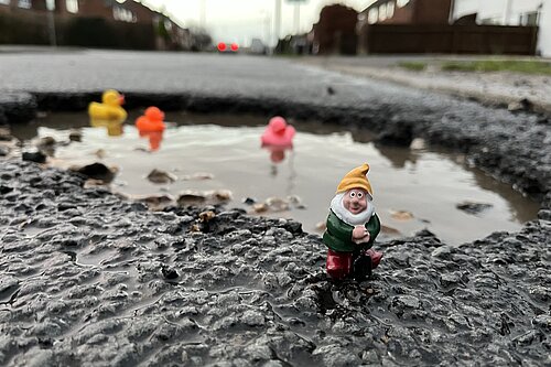 Ducks in a pothole and a working gnome in front