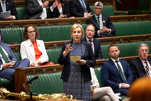 Lisa speaking in the House of Commons.