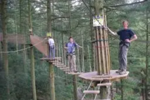 A fun treetop adventure course