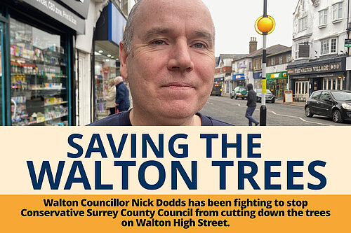 Nick Trees - list views