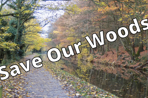 Buck Woods, from the the Canal at Buck Mill Bridge