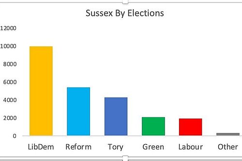 sussex by-election results 2025