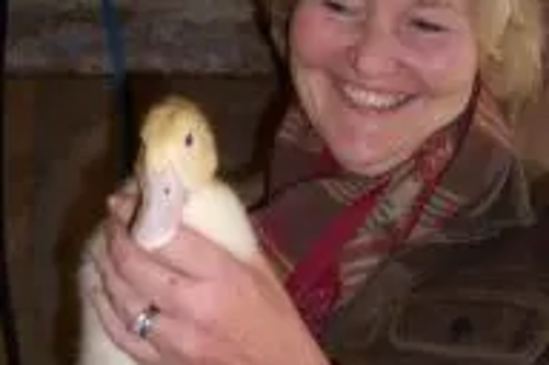 Terrye Teverson with one of the famous ‘twin’ ducks at the Cornish Duck Company.