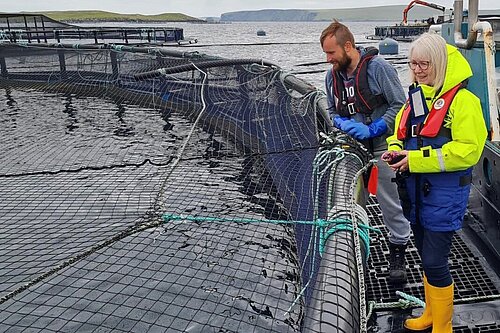 Beatrice Wishart at a salmon farm