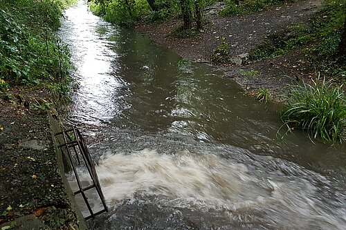 Sewage being discharged into a river.