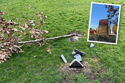 The Covid memorial lying in ruins